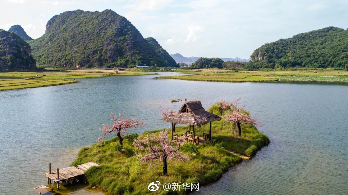 荒野大镖客2萨福克马怎么选颜色