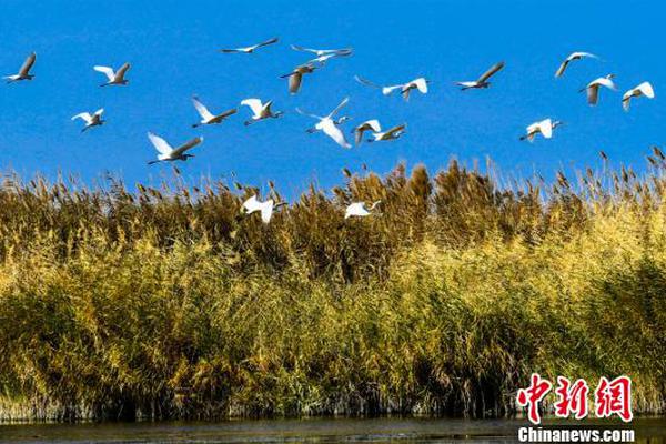 暗黑破坏神2怎么双开D2R