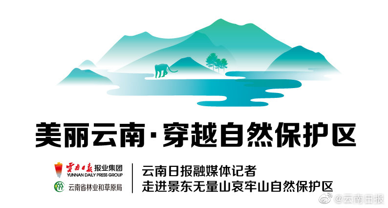 红至日2新手带什么物资比较好